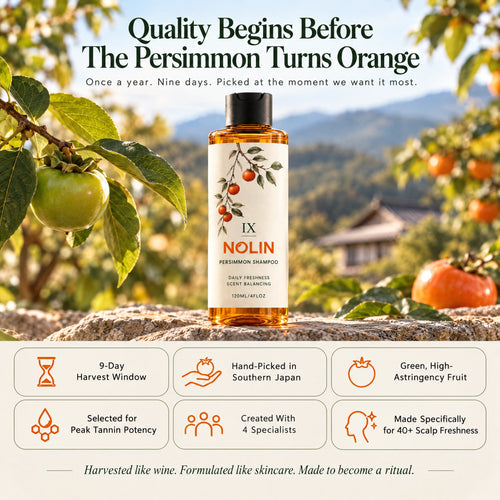 NOLIN IX Persimmon Scalp Wash